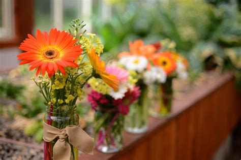 Good florists trim the bottom leaves off stems, so that they do not end up beneath the surface of the water, where they would decay, discolor the clear liquid. How to Keep Cut Flowers Fresh: A Guide to Making Cut ...