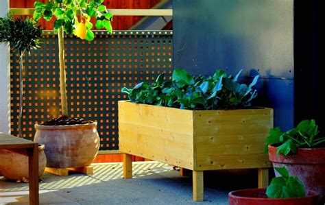 Maybe you would like to learn more about one of these? BOTTOM OF RAISED GARDEN BED WITH LEGS - Bed Gardening