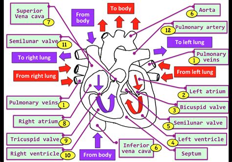 Check spelling or type a new query. Breanna: Form 2 Science Chapter 3