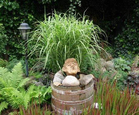 Zuerst rief er nach seiner mama, schließlich hatte sie ihn ins biotop im garten geschleppt. Ein Biotop im Garten anlegen: Tipps für einen kleinen ...
