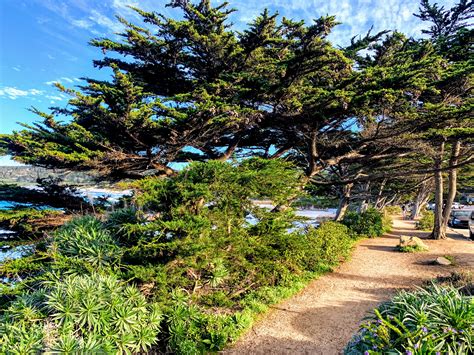 The Perfect Weekend In An Idyllic Town Carmel By The Sea