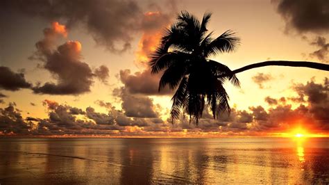 Wallpaper Id 814342 Beaches Clouds Trees X Nature Mauritius