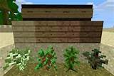Wood Plank Recipes Minecraft Images