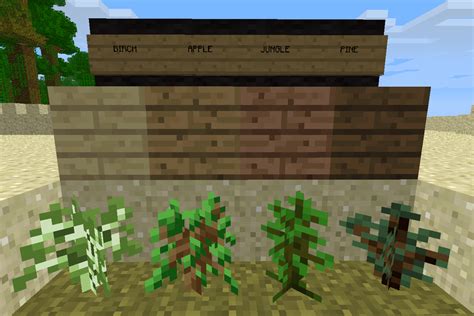 Guide To Get Minecraft Wood Planks Francois Career