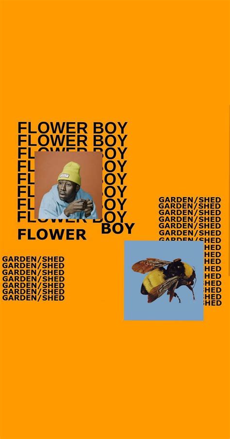 Flower Boy Tyler The Creator Iphone Wallpaper Best Flower Site