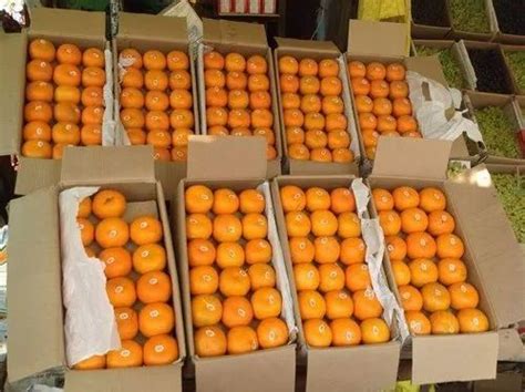 A Grade Maharashtra Nagpur Oranges Packaging Size 10 Kg Packaging