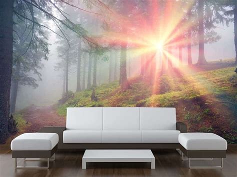 Made To Measure Wall Murals Will Bring Life And Vibrancy To Any Room