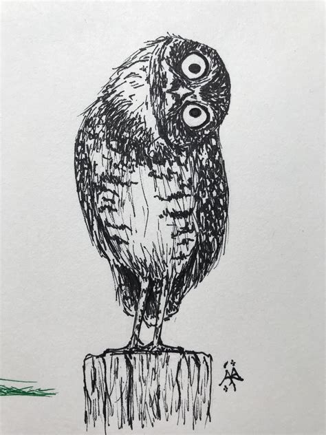 Burrowing Owl Done In Pen Art Humanoid Sketch Drawings