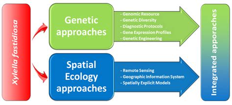 Overview Of The Genetic And Spatial Ecology Approaches Discussed In The