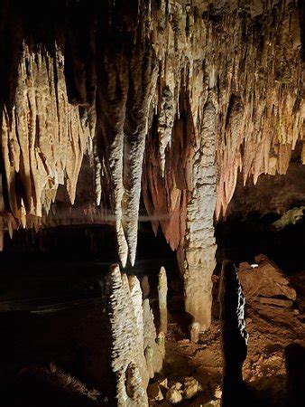 There is a visitor center and a store and grill. Meramec Caverns (Stanton, MO) - anmeldelser - Tripadvisor