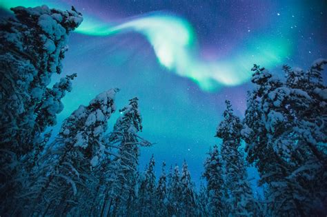 Kakslauttanen Northern Lights Lapland Welcome In Finland