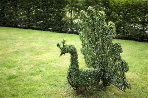 Topiary Animals Bespoke Topiary Plant Sculptures