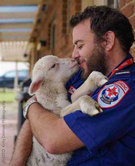 Australian Man Cant Stop Rescuing Baby Lambs From Farms The Dodo