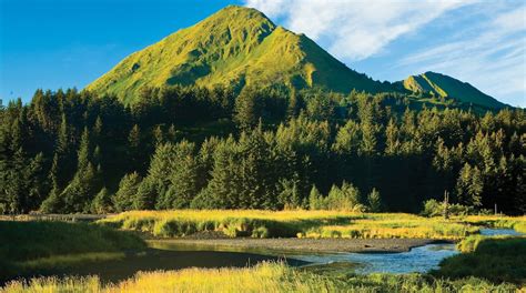 Visitez Kodiak Le Meilleur à Kodiak Alaska En 2023 Tourisme Expedia