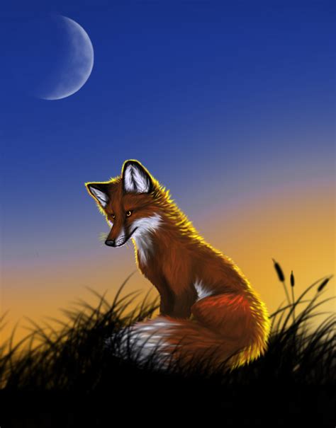 Red Fox Red Foxes Fan Art 13291599 Fanpop