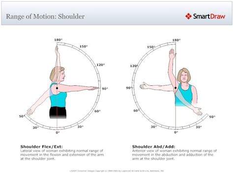 Range Of Motion Shoulder Fitness Pinterest