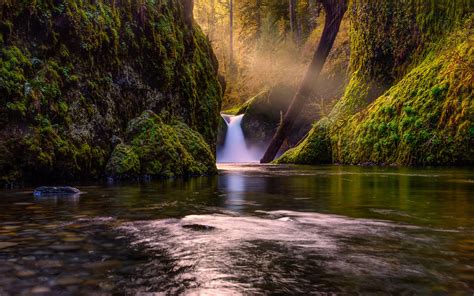Waterfall In Forest Creek Green Moss Trees Sun Rays