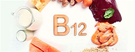Health Benefits Of Vitamin B12 Emelie Products