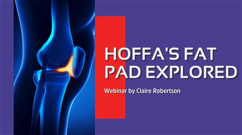 Hoffas Fat Pad Explored Webinar Online Physiotherapy Training
