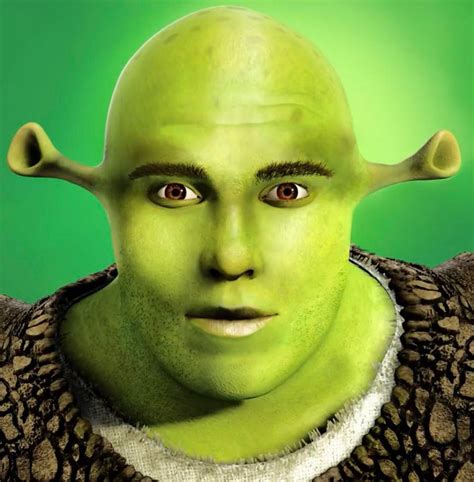 Is Shrek Beautiful Makemesuffer