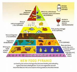 short essay about food pyramid