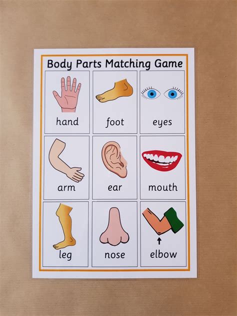 Body Parts Matching Game