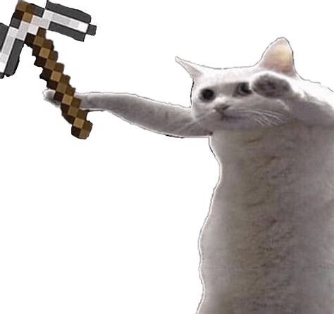 View 22 Cat Meme Pfp Minecraft Steelcomplesz