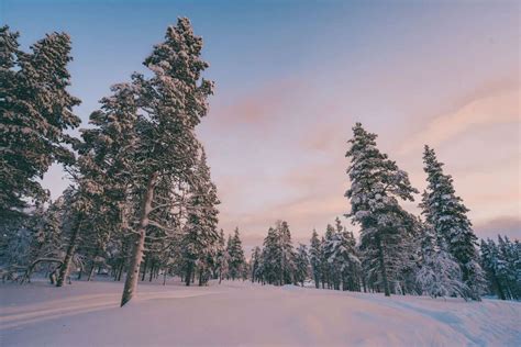 The Definitive Faq Guide To Winter In Finnish Lapland The Cutlery