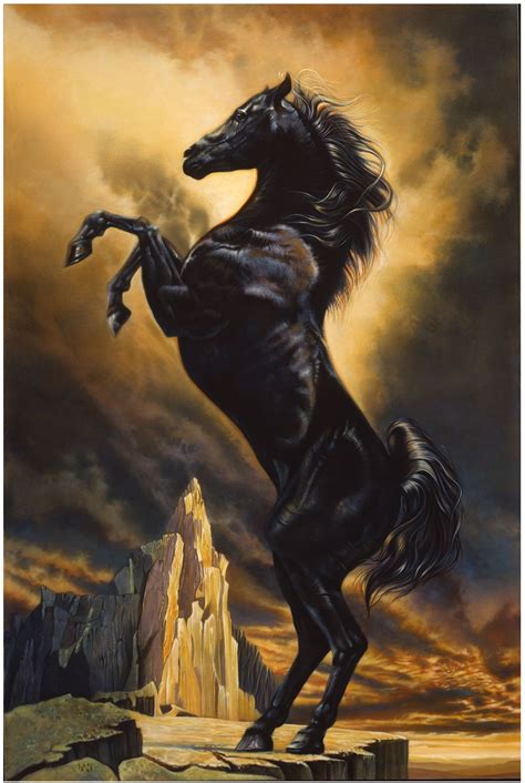 This is one of the best horse movies ever, and uses micky ronny very well. The Young Black Stallion | Horses, Horse artwork, Horse art