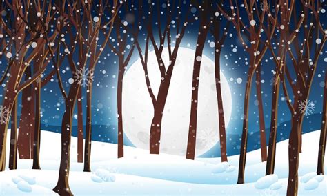 Winter Forest At Night Scene 419662 Vector Art At Vecteezy