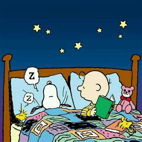 Pin By Pam Vickie Smith On Peanuts ♡ Goodnight Snoopy Snoopy Snoopy