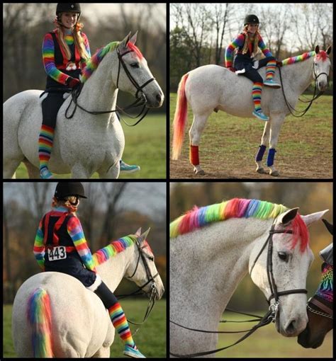 We have chosen the best decoration games which you can play online for free and add new games daily, enjoy! A selection of very creative HALLOWEEN HORSE COSTUMES ...