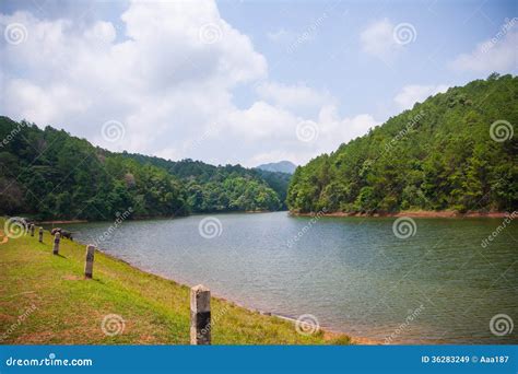 Beautiful Natural Scene Of Greenery Forest And Lake Stock Image Image