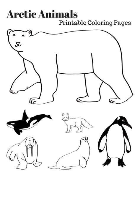 Arctic Animals Printable Coloring Pages Polar Animals