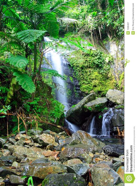 Tropical Waterfall Stock Image Image Of Natural Green