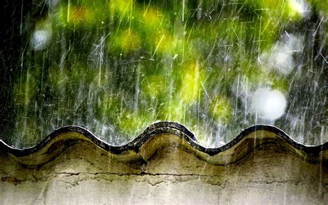 Rainy Season Hd Wallpaper Hd Wallpapers