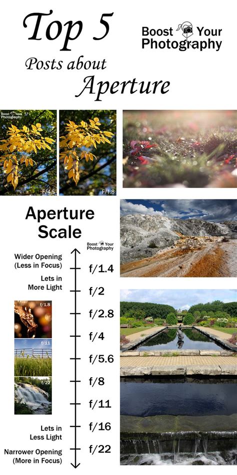 Top 5 Posts On Aperture Aperture Photography Digital Photography
