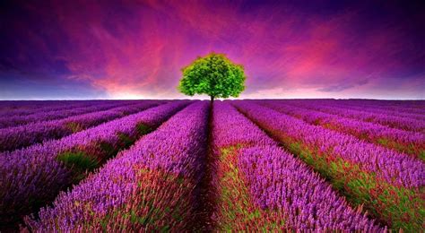 Beautiful Nature Wallpapers Collection Most Beautiful Places In The
