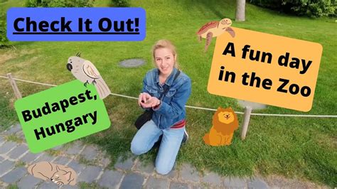 Fun Day At The Budapest Zoo Hungary Travel Vlog Youtube
