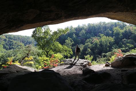 Off The Trail At Red River Gorge By Todd Nystrom Campstake Field Guide Red River Gorge
