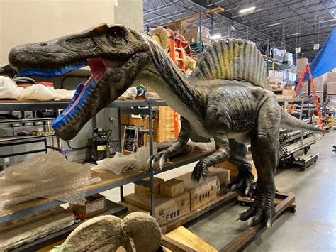There are so many misconceptions about how wills work, what goes into an estate, who gets what, who can contest your will (especially in bc where i am), etc. Start Your Own 'Jurassic Park' with These Animatronic Dinosaurs for Sale in Langley, BC