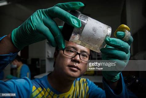 Zika Research Photos And Premium High Res Pictures Getty Images