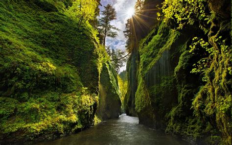 Wallpaper 2200x1375 Px Canyon Green Iceland Landscape Moss Nature Oregon River Shrubs