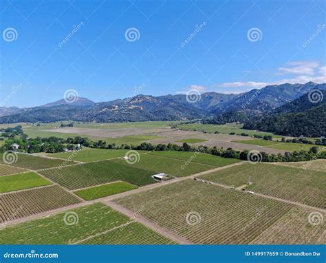 Aerial View Of Wine Vineyard In Napa Valley Stock Image Image Of