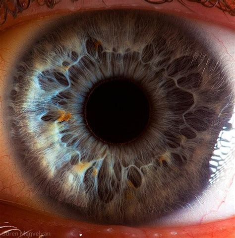 eye - Gallery | eBaum's World