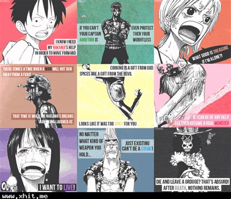 Best One Piece Quotes ~ One Piece World
