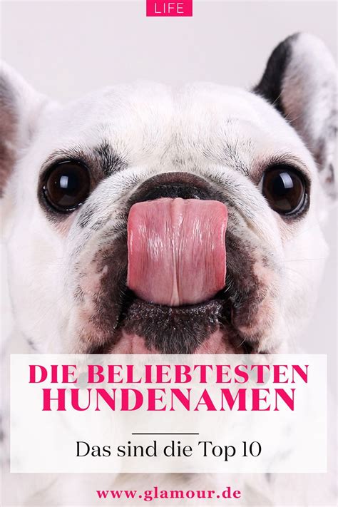 Die Beliebtesten Hundenamen In Deutschland Laut Studie Hundenamen