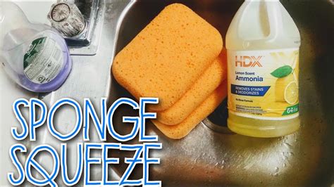 Lemon ammonia is a great solution for nonporous surface cleaning and deodorizing. Lemon Ammonia Sponge Squeeze | Reaction to Ammonia😕 | ASMR ...
