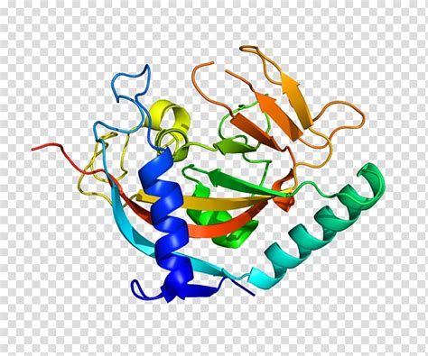 Protein Structure Wallpaper