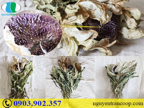 Thiên hạ bá xướng sau khi nhượng quyền thương hiệu ma thổi đèn đã viết tiếp câu truyện về ba mô kim hiệu úy trong hệ liệt mới của mình tên mô kim hiệu úy. thien-son-tuyet-lien-6